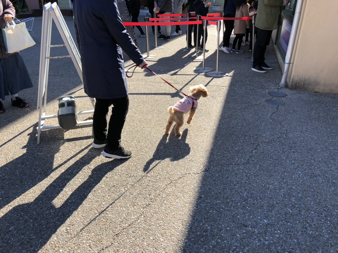 リトルワールドはドックランもある愛犬と楽しめるテーマパーク