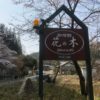 喫茶館 花の木は寺尾ヶ原千本桜公園近くのおすすめモーニング