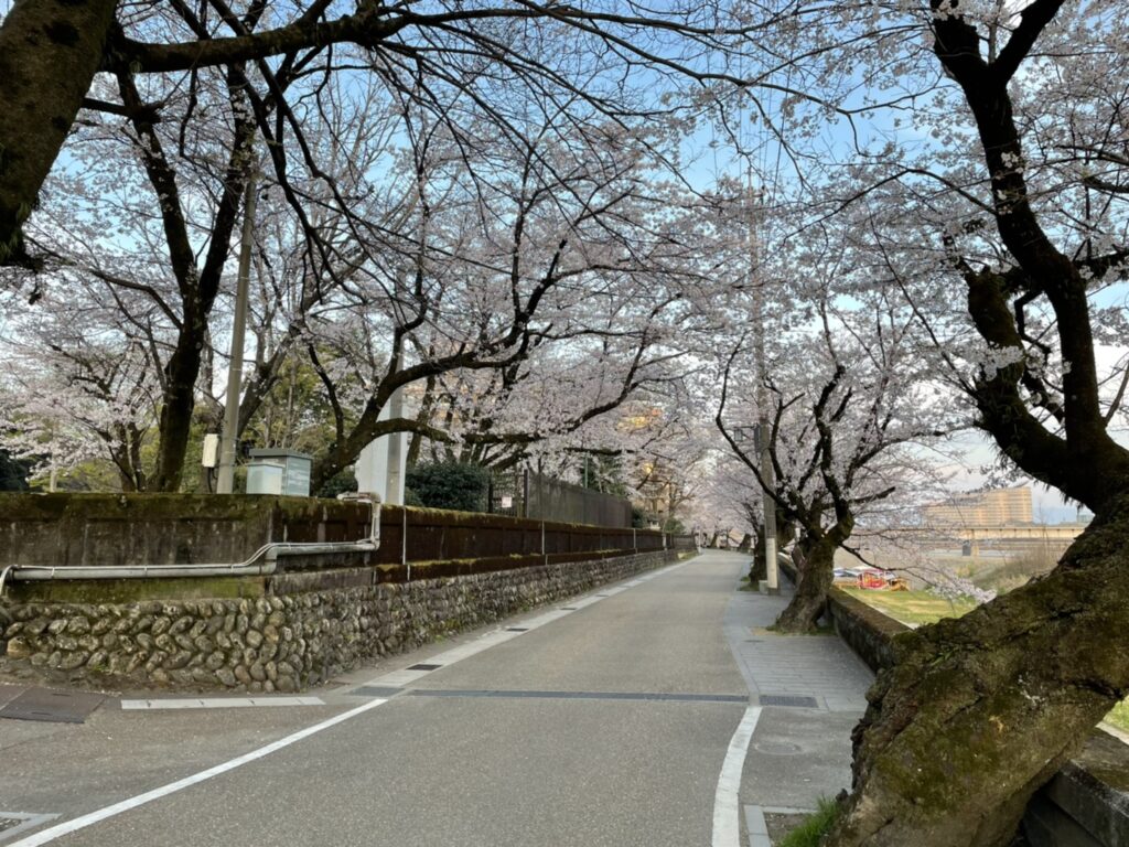 岐阜公園・長良川堤の桜 2021年3月27日