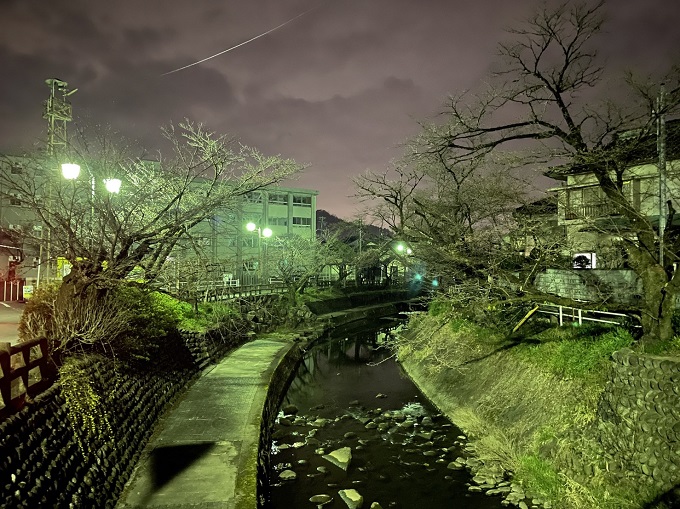 吉田川の桜 2022年3月25日