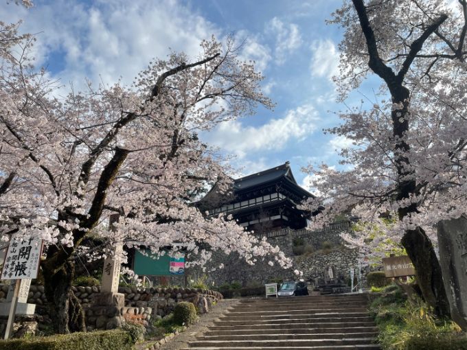 関善光寺の桜 2022年4月2日